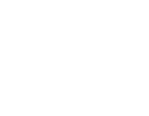 Loewenstern Logo Freigestellt Ohne Hintergrund Weis | Startseite