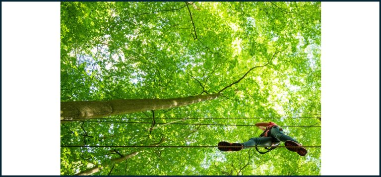 Geschwister Tag Wald Kletter Park 2 | Geschwister-Tag im Wald-Kletter-Park